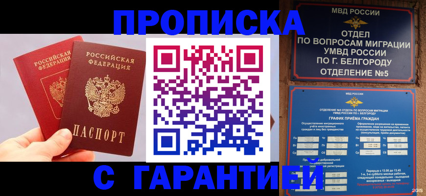 прописка 2025 в Котовске